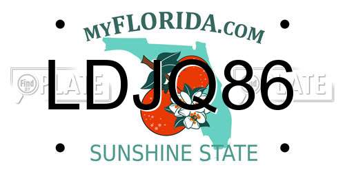 LDJQ86 Florida License Plate