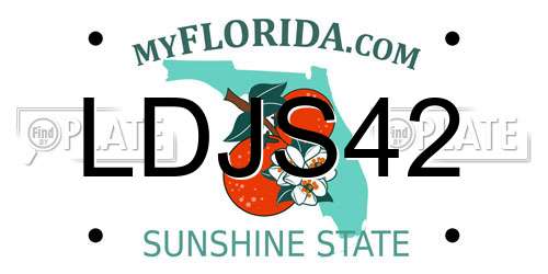 LDJS42 Florida License Plate