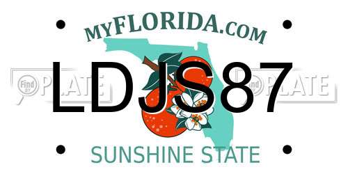 LDJS87 Florida License Plate