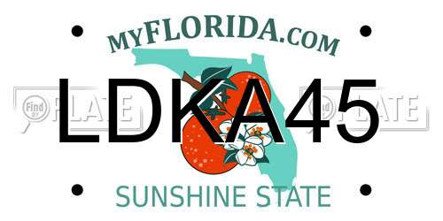 LDKA45 Florida License Plate