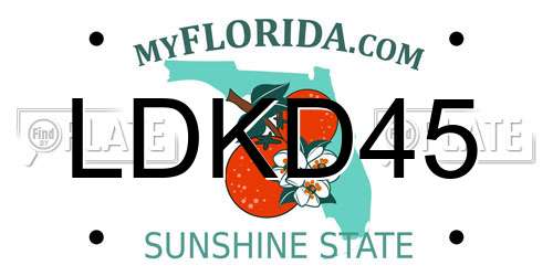 LDKD45 Florida License Plate