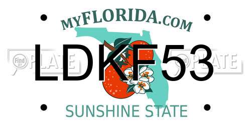LDKF53 Florida License Plate