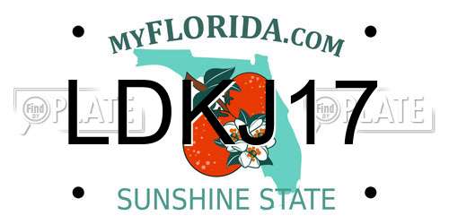LDKJ17 Florida License Plate