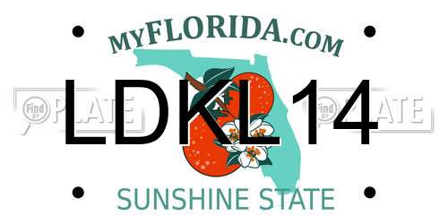 LDKL14 Florida License Plate