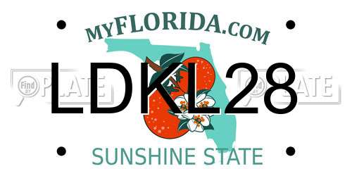 LDKL28 Florida License Plate