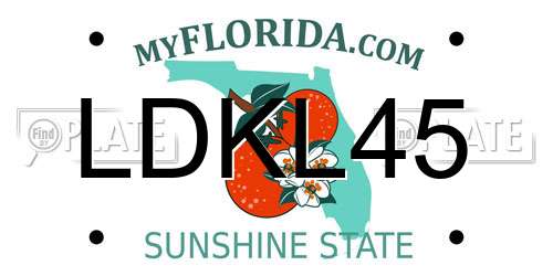 LDKL45 Florida License Plate