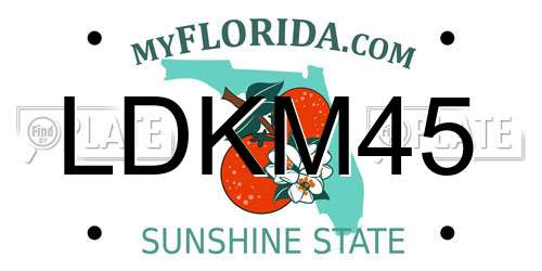 LDKM45 Florida License Plate