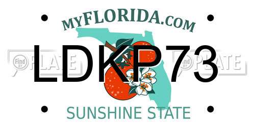 LDKP73 Florida License Plate