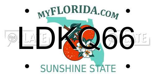 LDKQ66 Florida License Plate