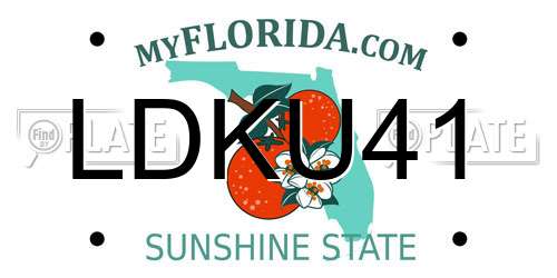 LDKU41 Florida License Plate
