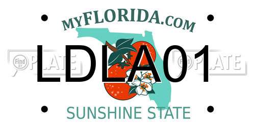 LDLA01 Florida License Plate