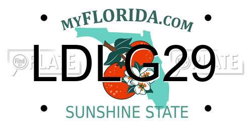 LDLG29 Florida License Plate