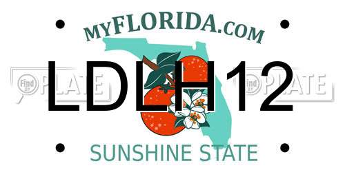 LDLH12 Florida License Plate