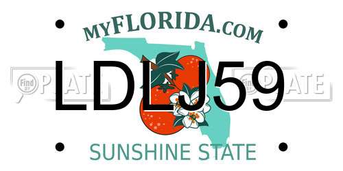 LDLJ59 Florida License Plate