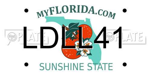 LDLL41 Florida License Plate