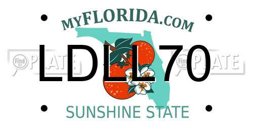 LDLL70 Florida License Plate