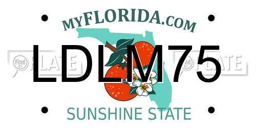 LDLM75 Florida License Plate
