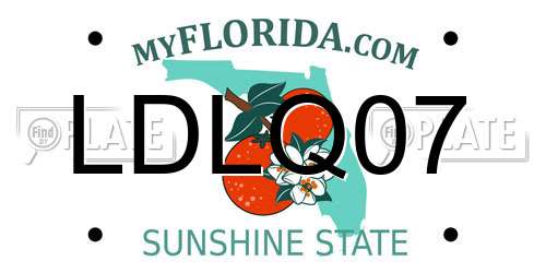LDLQ07 Florida License Plate