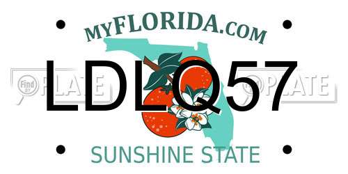 LDLQ57 Florida License Plate