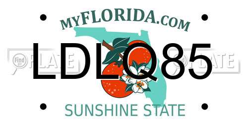 LDLQ85 Florida License Plate