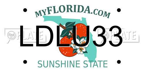 LDLU33 Florida License Plate