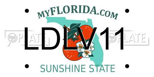 LDLV11 Florida License Plate