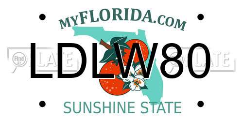 LDLW80 Florida License Plate