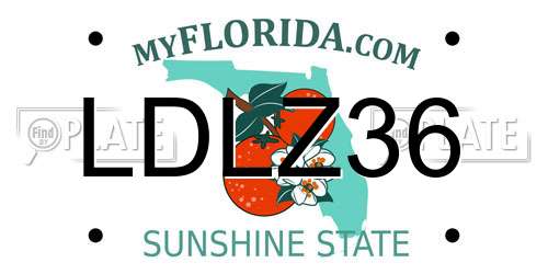 LDLZ36 Florida License Plate