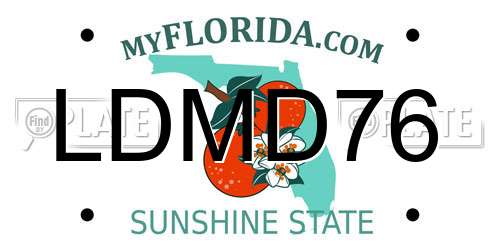 LDMD76 Florida License Plate