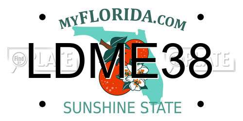 LDME38 Florida License Plate