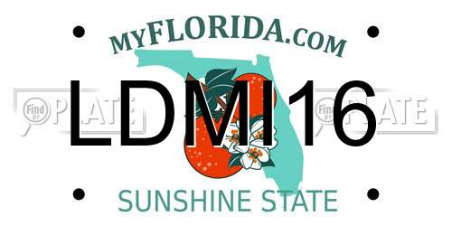 LDMI16 Florida License Plate