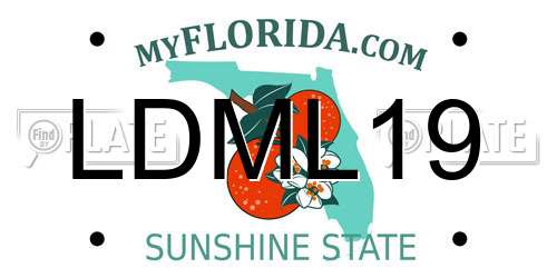 LDML19 Florida License Plate