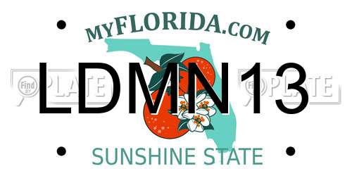 LDMN13 Florida License Plate