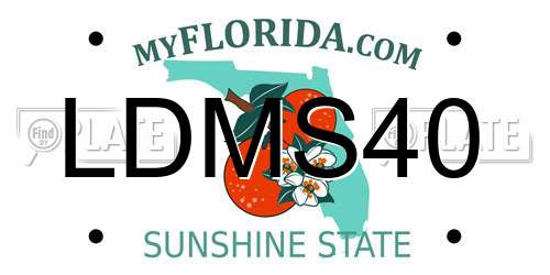 LDMS40 Florida License Plate