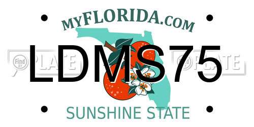 LDMS75 Florida License Plate
