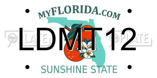 LDMT12 Florida License Plate