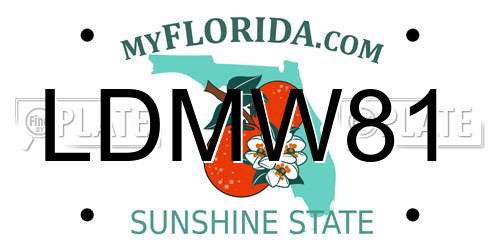 LDMW81 Florida License Plate