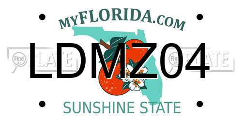 LDMZ04 Florida License Plate