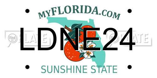 LDNE24 Florida License Plate