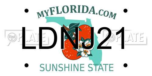 LDNJ21 Florida License Plate