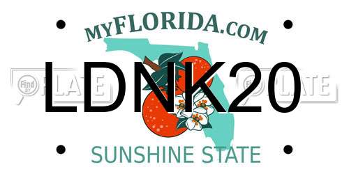 LDNK20 Florida License Plate