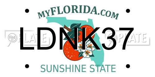 LDNK37 Florida License Plate