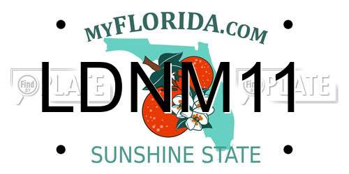 LDNM11 Florida License Plate