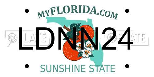 LDNN24 Florida License Plate