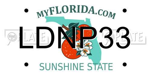 LDNP33 Florida License Plate
