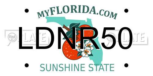 LDNR50 Florida License Plate