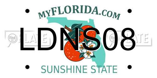 LDNS08 Florida License Plate