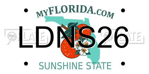 LDNS26 Florida License Plate