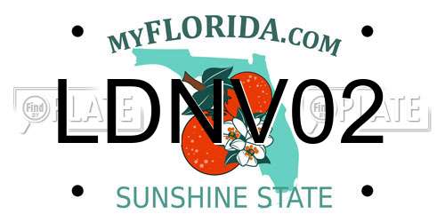 LDNV02 Florida License Plate