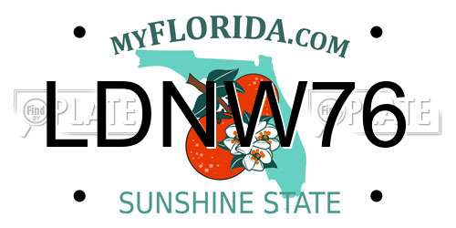 LDNW76 Florida License Plate